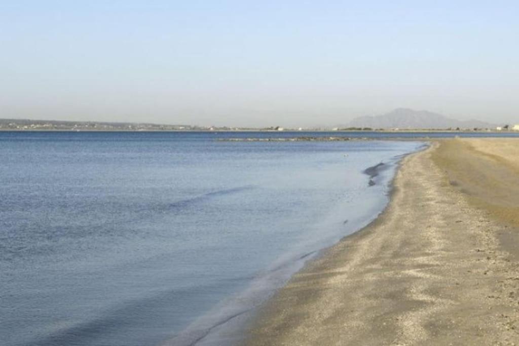 Apartamento Frente Al Mar, Familiar Y Acogedor. Santa Pola Eksteriør billede
